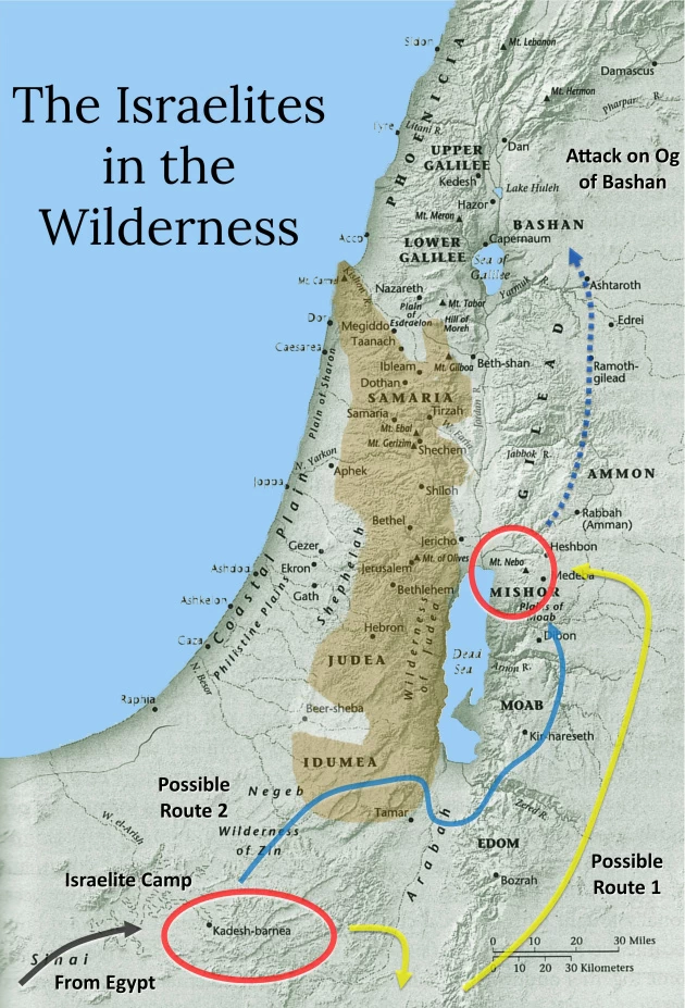 The wanderings of the Israelites in the Wilderness, showing possible routes.